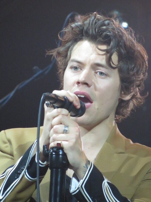 Harry Styles Curly Hair
