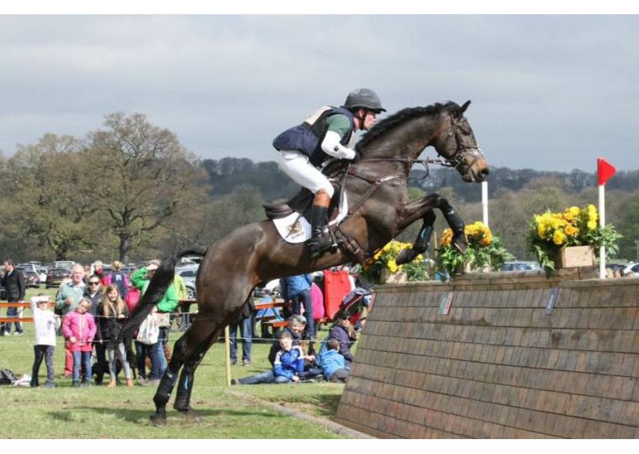 beddownbedding's tweet image. Read our latest blog: "Bed-Down Sponsors Badminton Bound Rider!!" We are thrilled to be sponsoring CCI 4* British Eventing rider @SimonjGrieve who is competing at Badminton with Drumbilla Metro (Splash)  bed-down.co.uk/bed-down-spons… #MMBHT #ExcelPlus #beddownbedding #tackroomfriday