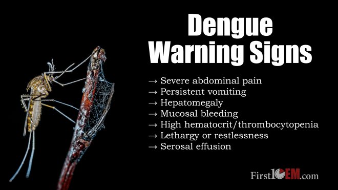 First10EM's tweet photo. Dengue can make you very sick. Be vigilant in the returning tracker, and watch for warning signs #EMU2018 https://t.co/dOqxd0xigm https://t.co/j1EvWJKz3I