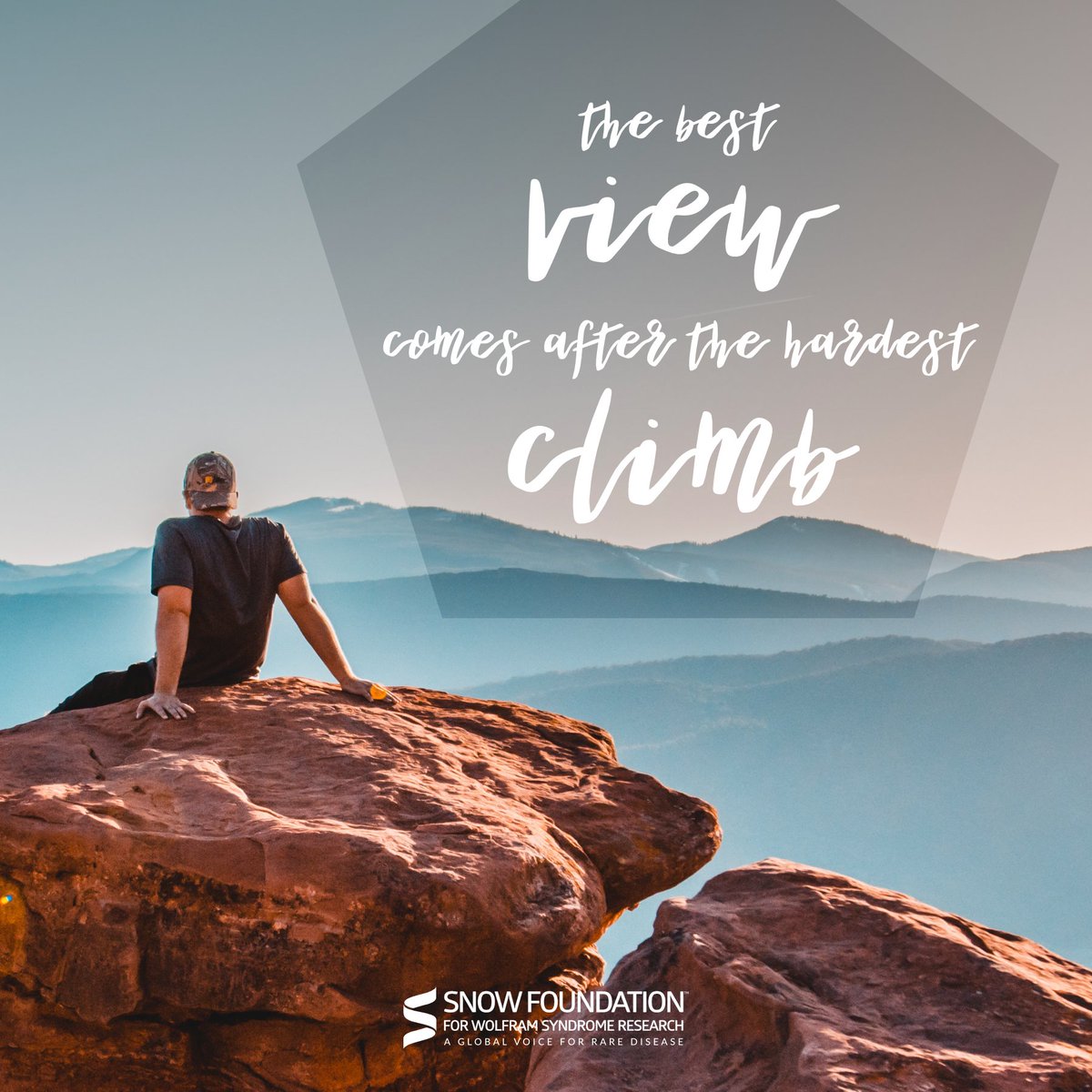 The best view comes after the hardest climb…Keep going! Support TSF Today ow.ly/d5Fs30jCoPr #supporthecause #researchforacure #wolframsyndrome #raredisease #donatetoday
