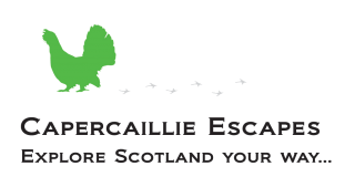SCSTG's tweet photo. While you are in #Scotland for your #sporting break, why not escape with @GoCapercaillie for a personalised self-drive or driver-led #tour? Find out more https://t.co/eTtOHKLum8 https://t.co/LzCSIrKU2M