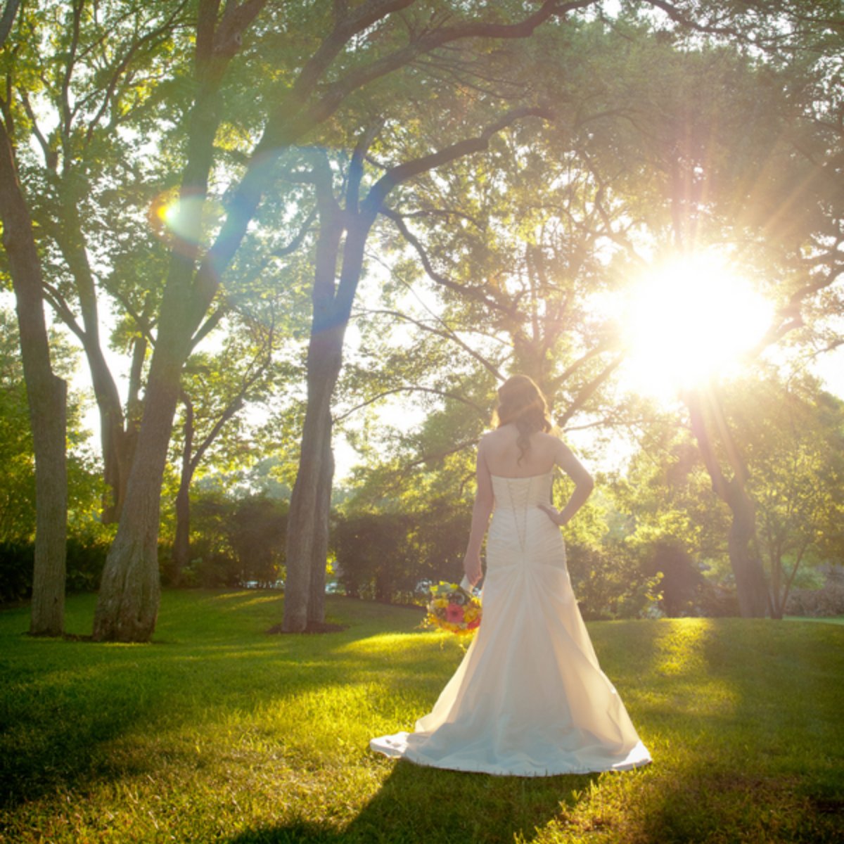 HummingbirdATX's tweet image. Find the beauty in simplicity.