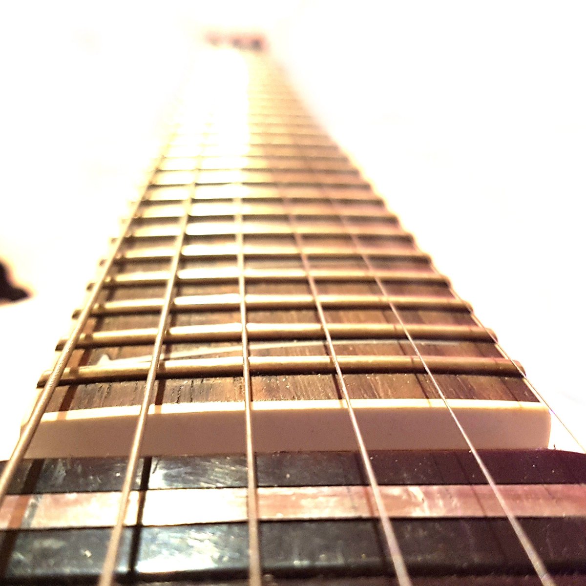 Swave0's tweet image. 🎶 #ibanez