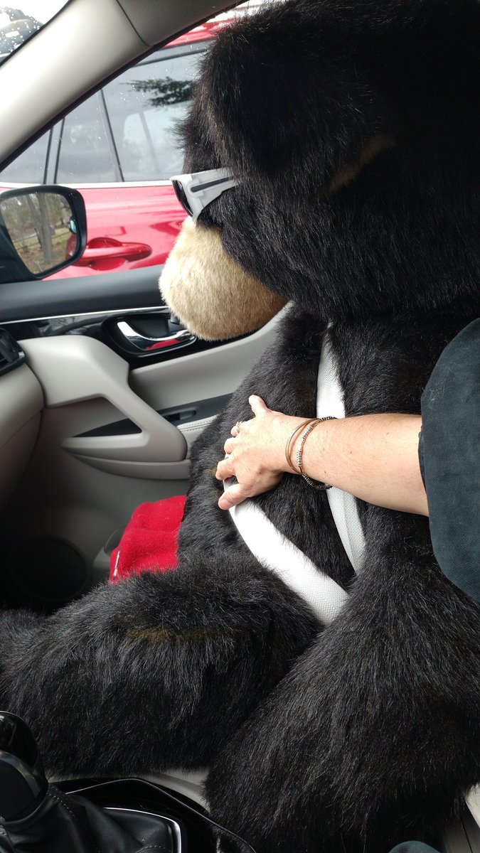 TuppysMom's tweet photo. How did this even happen? I legit used the mom arm. On my stuffed animal. What have I become?? I don't even have any children! #reenactment #tiny #MomArm #Ihategrapes https://t.co/Q7dDNWbkSY