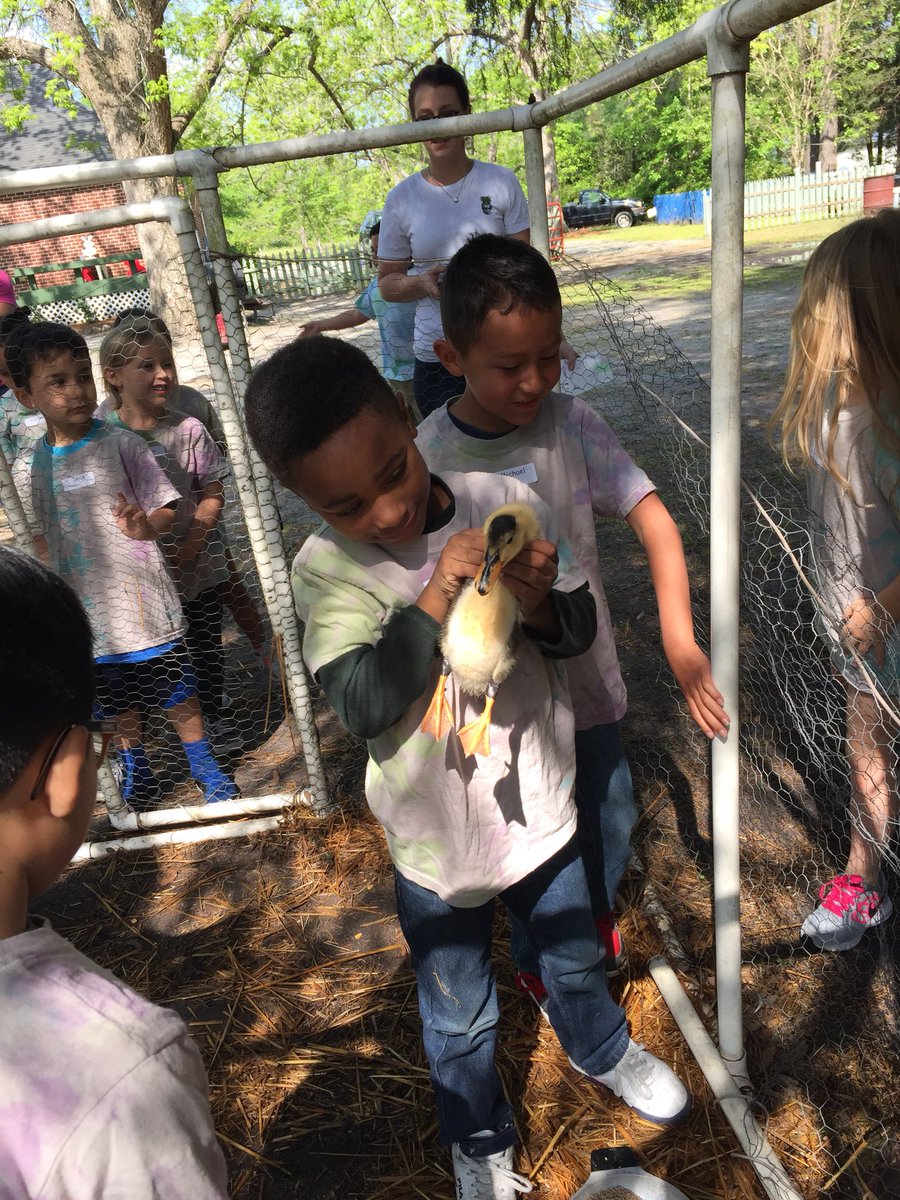 tamaraw76's tweet image. We had a great time at the farm #CHEShc @CastleHayneES