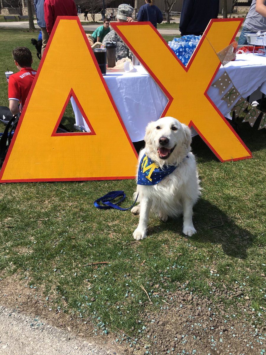 MUDeltaChi's tweet photo. Delta Chi and @MarquetteKD are hosting Delta Dogs today at Marquette Central Mall from 10:30am-2:30pm! We will be selling hotdogs and giving students opportunity to meet some friendly dogs! All proceeds will go to the @TheVFoundation for cancer research! https://t.co/F4zwqSEcas
