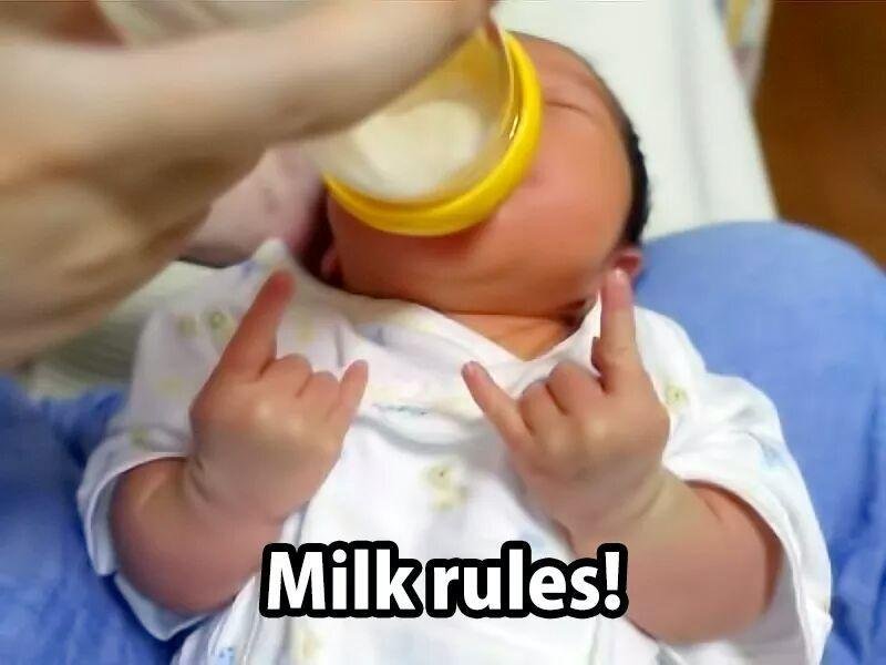 SheenaIsAPunkRocker 🧷🎸 (@77mash) on Twitter photo 