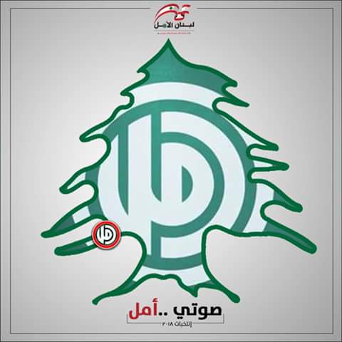 AppCells's tweet photo. نذكر بأن نهار غدآ السبت ستجتاح مدينة صور تسونامي #أخضر لا داعي للقلق سيكون #النبيه وسنجدد معه القسم
#عهد_القسم 💚💚 https://t.co/zH18cYOkaq
