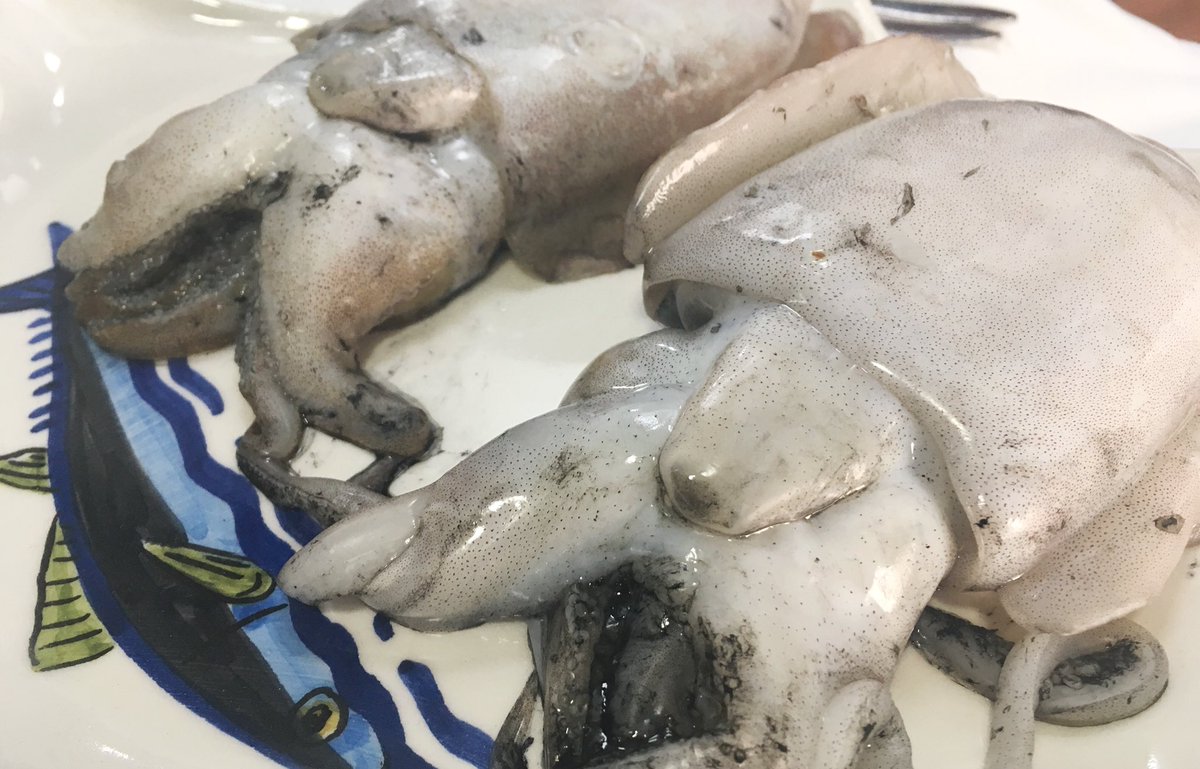antonioj_campos's tweet photo. Con estos #chocos de #trasmallo y su tinta, José Sánchez de @El_Roqueo le da una forma redonda y rebozada a los mejores sabores de la huerta y la mar de #Conil. Siento no ofreceros una foto de sus #croquetas. Me pudieron las ganas de pegarle el bocao y no quedaron @adirecto https://t.co/xq8Cp6DHOM