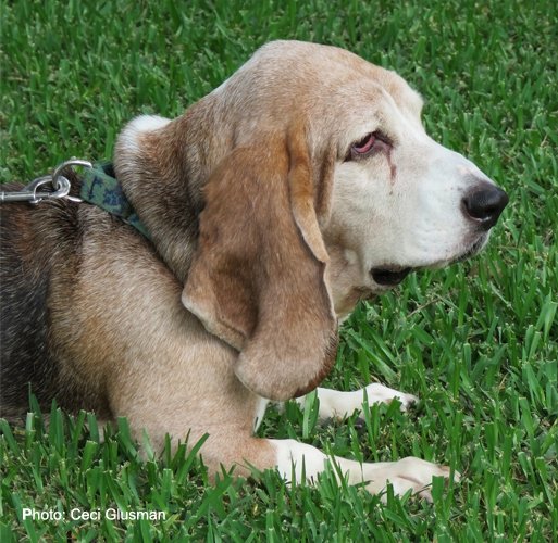 creativityworkshop.com
"In the long history of humankind (and animalkind, too) those who learned to collaborate and improvise most effectively have prevailed." Charles Darwin