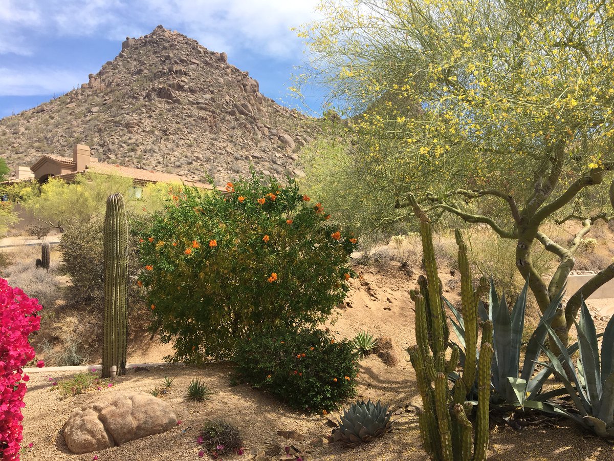 CardinlCarpetAZ's tweet photo. Follow cardinal carpet cleaning today in Beautiful Scottsdale Arizona! Call today and set your appointment! https://t.co/h5IAXpdtn8 Mon-Sat.8am-6pm.(602)678-1536 #Carpetcleaning #Carpetprotector #Schemma #Googlemybusiness https://t.co/xEkGpWAA0Y