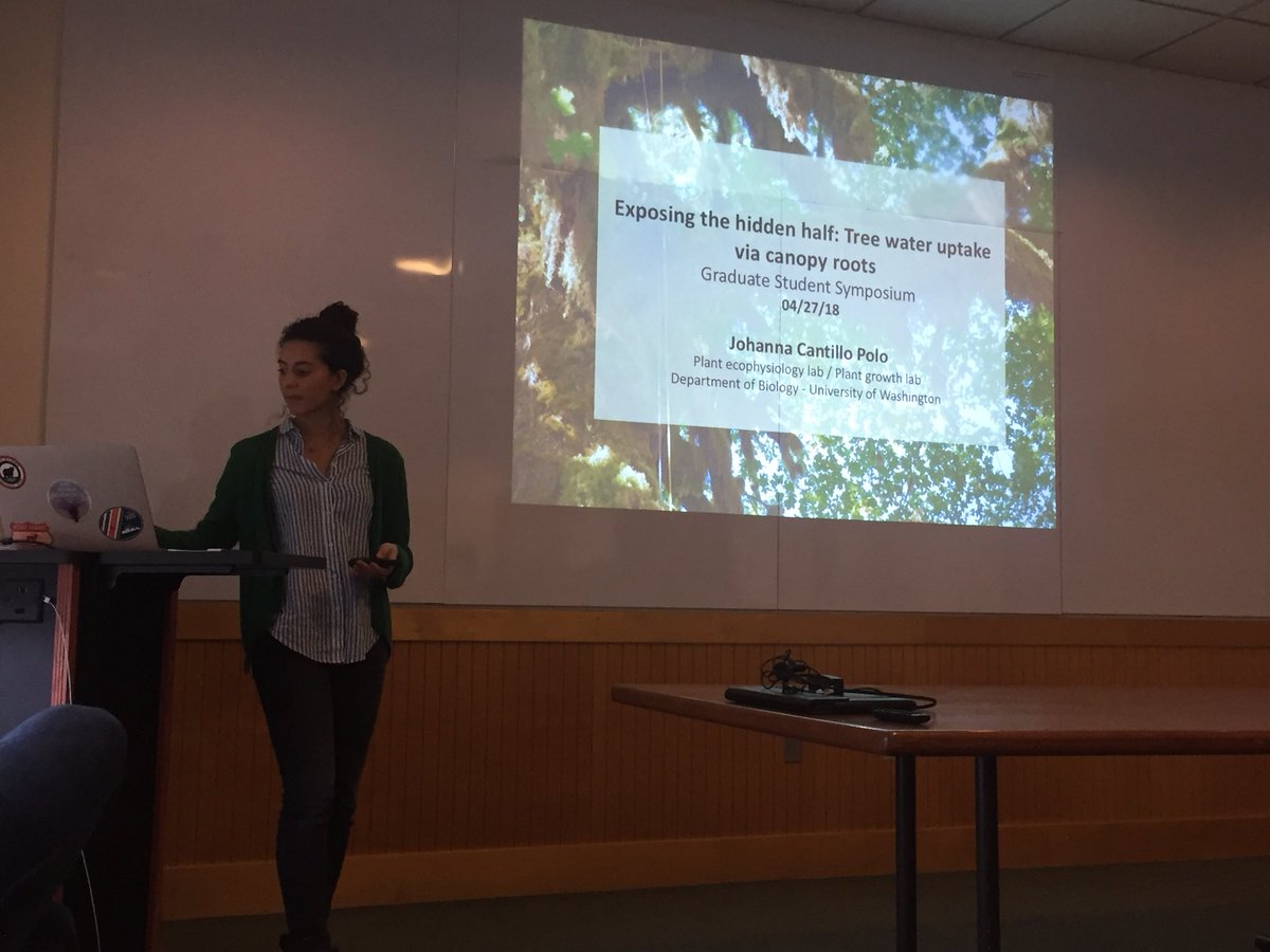 botAna_Bedoya's tweet photo. #cienciacriolla Colombian plant physiologist and UW grad student tells us that canopy roots are funcional and that there is canopy hydraulic redistribution!!! #universityofwashington #GraduateStudentSymposium https://t.co/kpsPxs9qZT