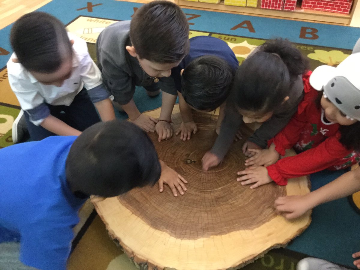 MsKateRouse7's tweet photo. Ms. Kyla brought a section of a tree trunk for us to explore during out tree study. "¡Tiene muchos años!" (Its very old!). @CCSD93ECC @CCSD93 https://t.co/g2gE5OJNwZ