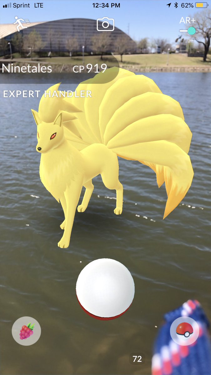 sara_snacks's tweet image. #Ninetales in the water 😹😹 #ExpertHandler