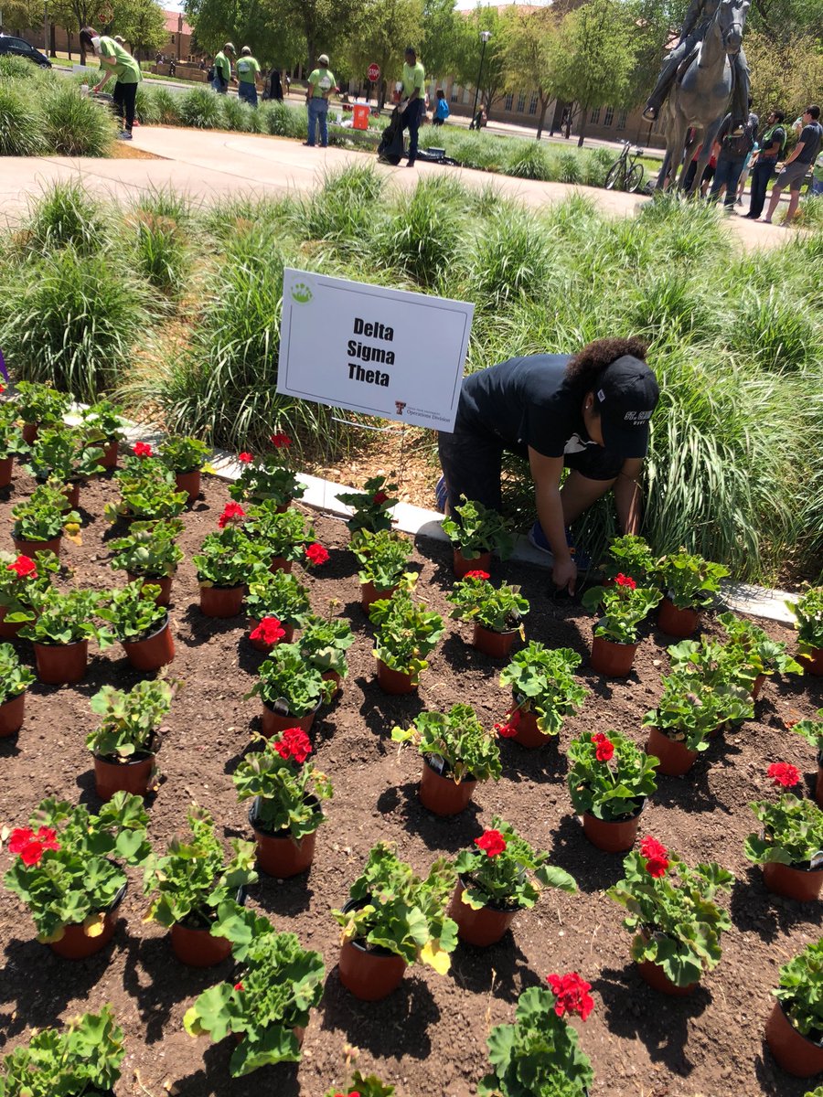 Arbor Day has started at Memorial Circle! Come by, meet the Deltas, and plant a flower 🌺