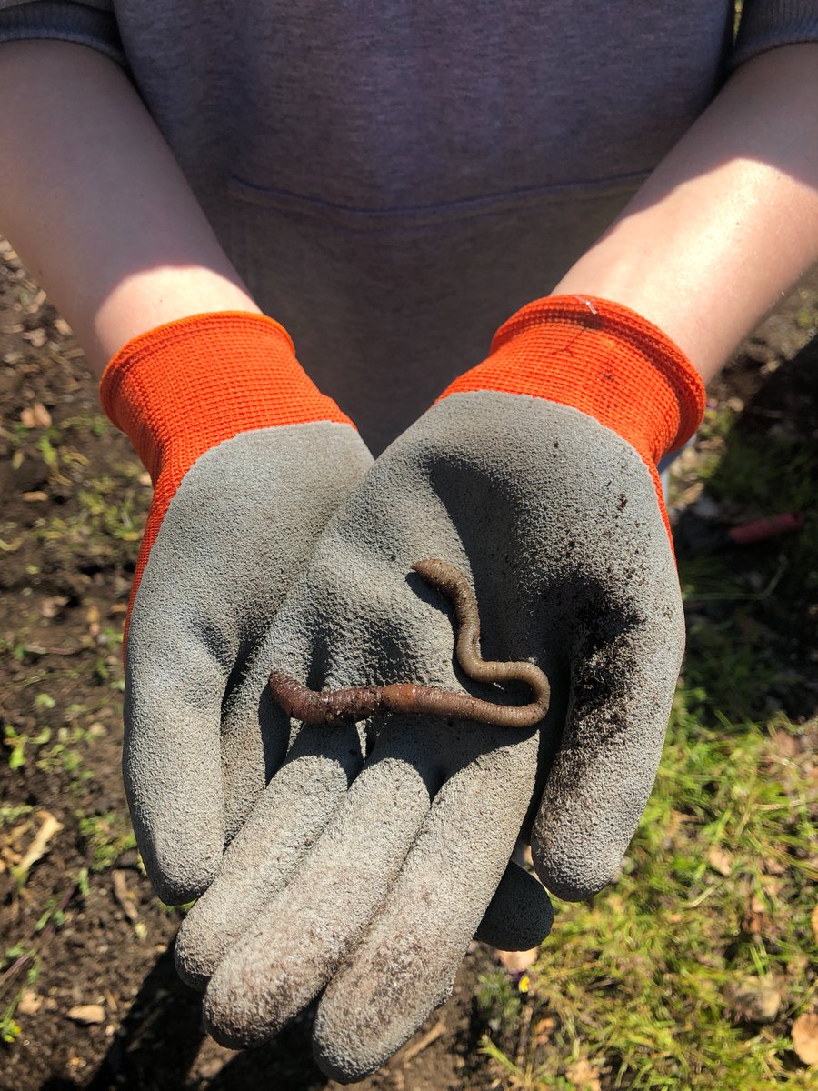 KaitlynHamner's tweet photo. Gr7 students get outside &amp; give back to our local community as part of our citizenship studies. Proud of their hard work &amp; thankful for the sunshine! ☀️ #nvsd44 https://t.co/9JC8GRV07U