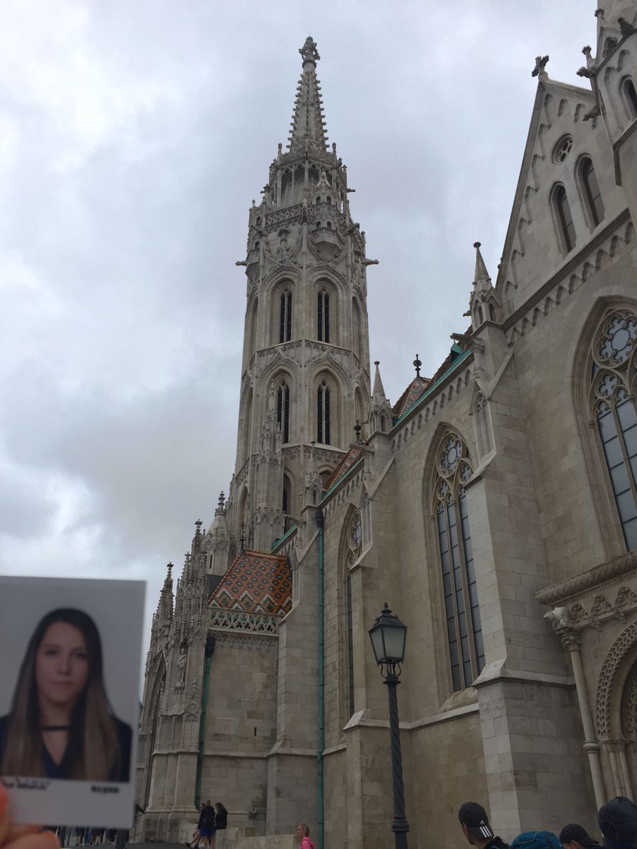 gülsevin tweet media