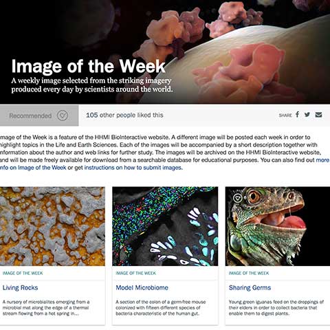 BIOINTERACTIVE's tweet photo. Interested in using our Image of the Week images to start student discussion?  In this activity, students examine images and use them to generate questions about natural phenomena. https://t.co/budqqddITe https://t.co/pun9tdOOUT