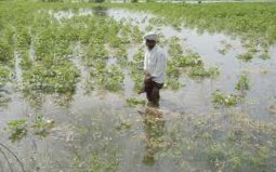 CoopSomalia's tweet photo. Somalia. Floods in Baladweyn Town and Surrounding Villages are washing away thousands of hectares of farmlands with many Farmers and School Children being cut off due to muddy roads. The flood waters entered deep into City Centre and people began fleeing. https://t.co/6G9q0NHrq3 https://t.co/eqGN13jBsD