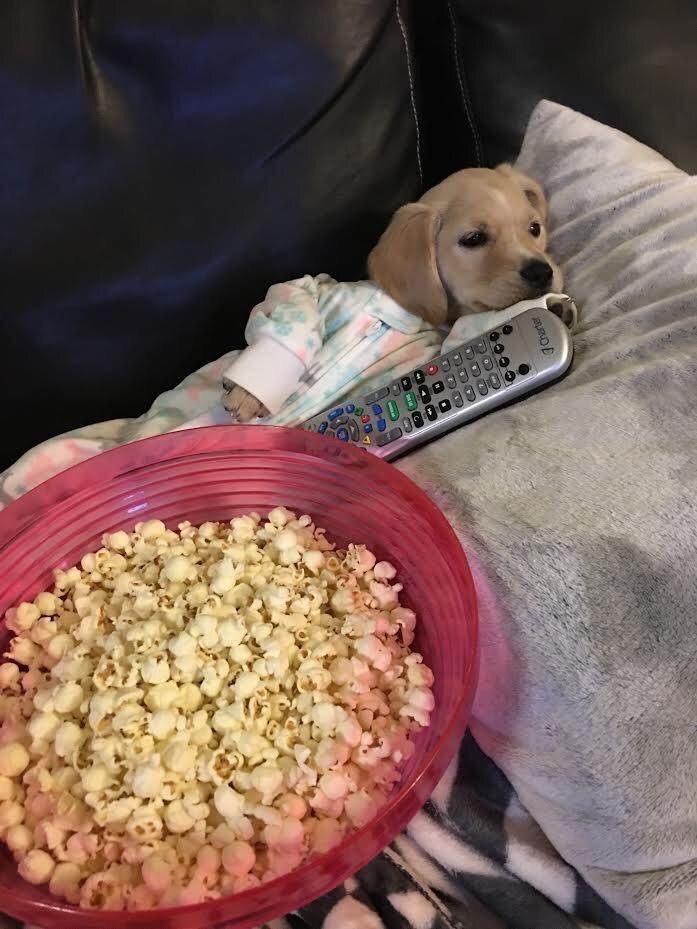 tujalefav's tweet photo. -Wey que harás hoy???

-... https://t.co/1LNDCtJlcL