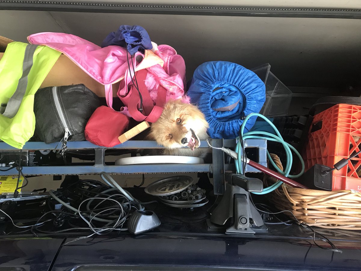 EskimoEfren's tweet photo. Always check for wildlife before packing your roof rack... https://t.co/4hUWcY22SD