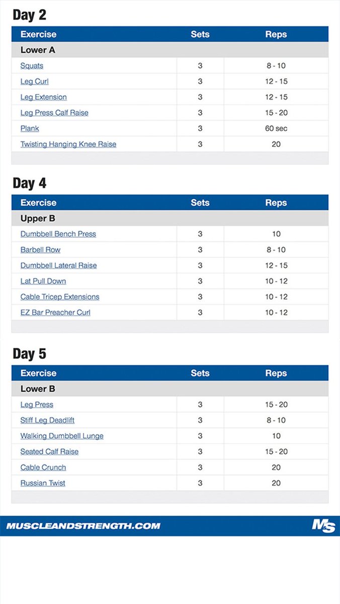 Diet Chart For Muscle Gain Pdf