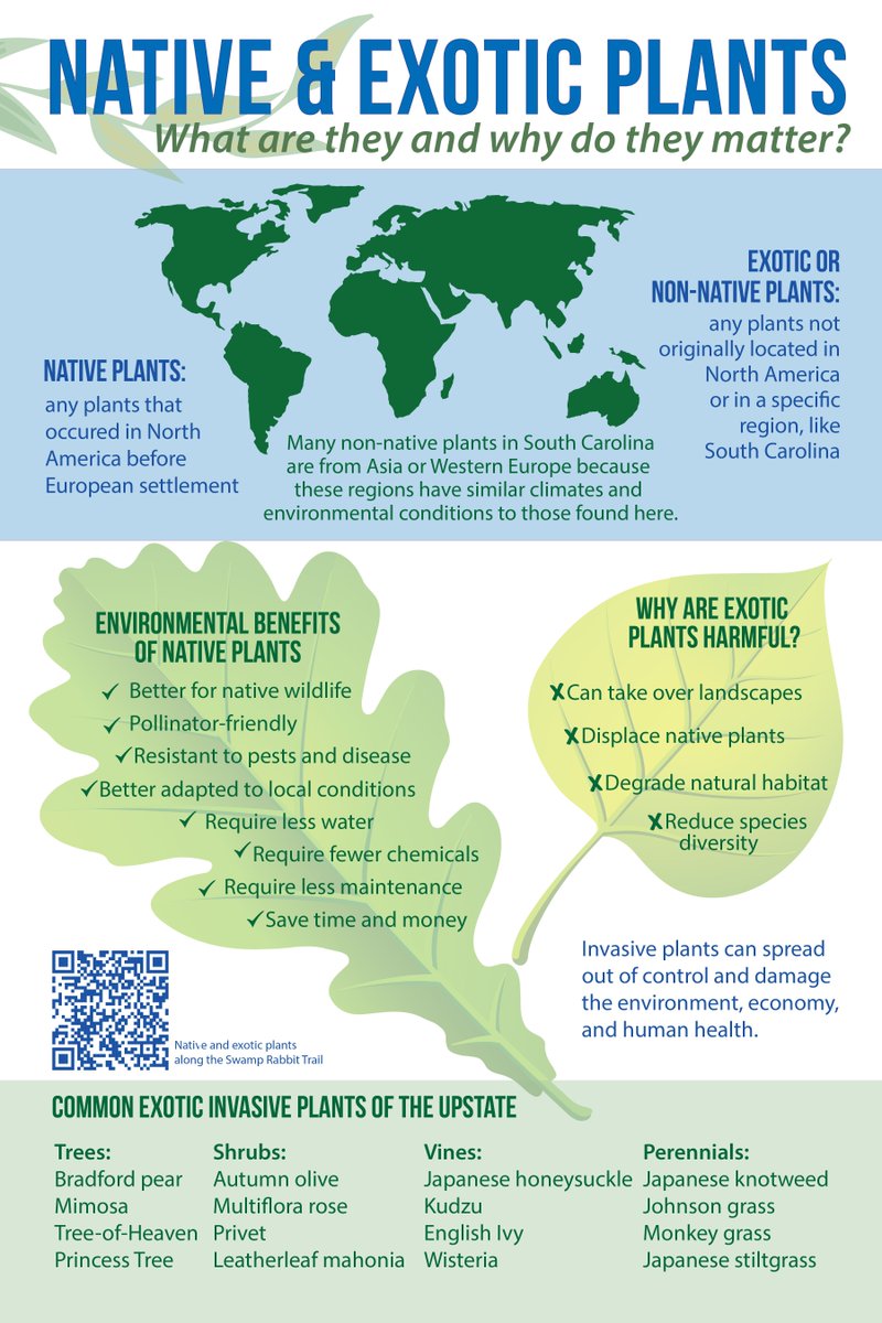 FriendsReedyRiv's tweet photo. Fun Fact Friday. Native &amp; Exotic Plants: What are they and why do they matter? https://t.co/4zOzdjWT7F
