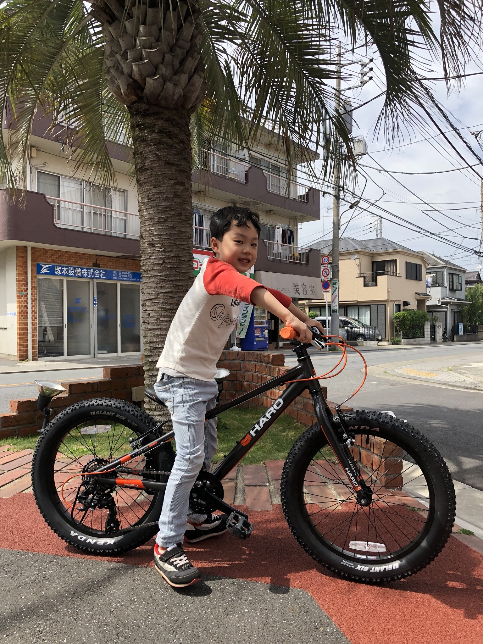 haro flightline 20 plus