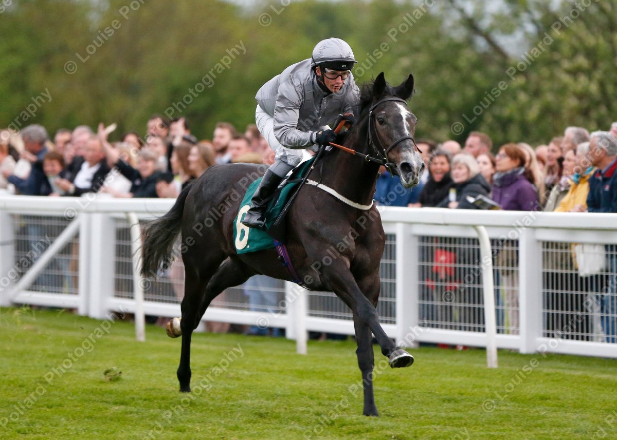 Louise Pollard tweet media