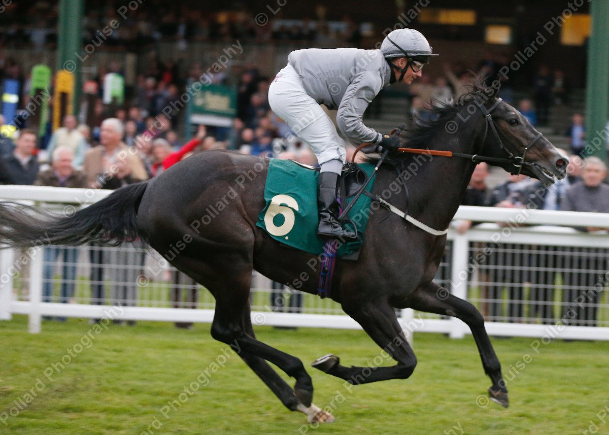 Louise Pollard tweet media