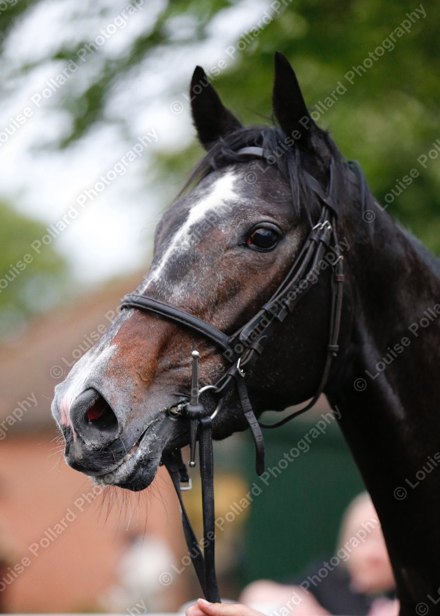 Louise Pollard tweet media