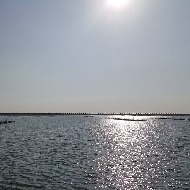 pumpkinslayer's tweet image. ift.tt/2KWPdU0