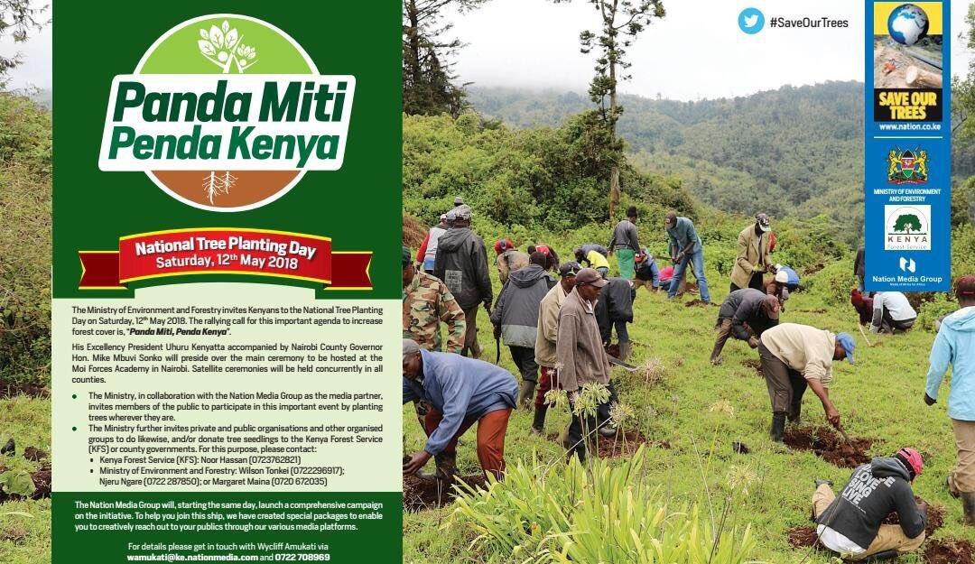 GKariuki_034's tweet photo. Today is the NATIONAL TREE PLANTING DAY.
LET'S MEET ON THE GROUND
@Environment_Ke @KeForestService @NemaKenya @Tanui_lilly @kwskenya #PandaMitiPendaKenya
#TreePlantKE
https://t.co/RXTfkq01mq https://t.co/zzu81rCdfu