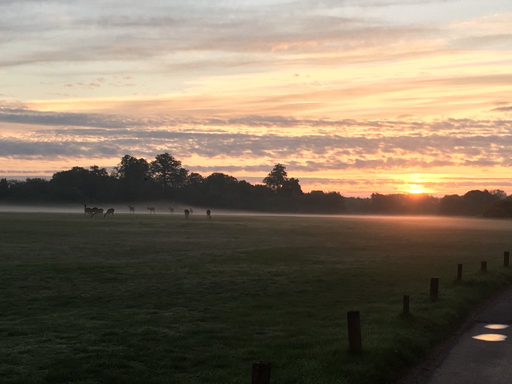 Sunrise over Ashridge as we check the signs for Pedal of Honour.
#someonesgottadoit #POH2018