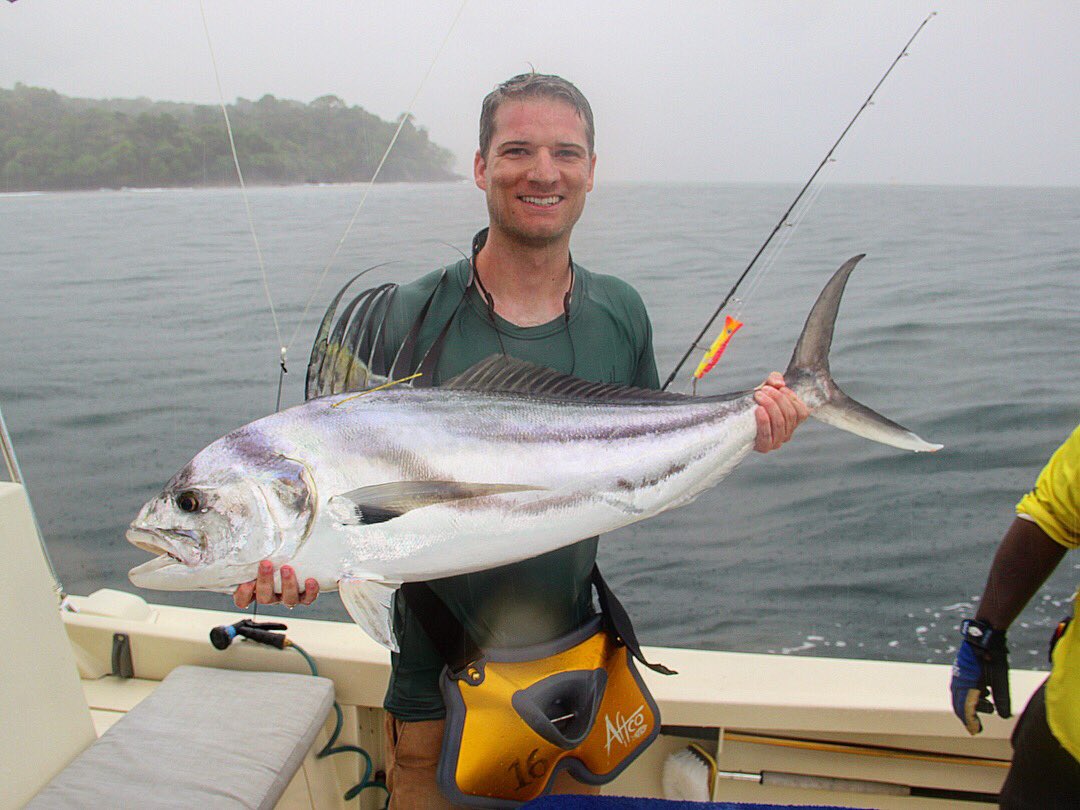 Guy Harvey tweet media