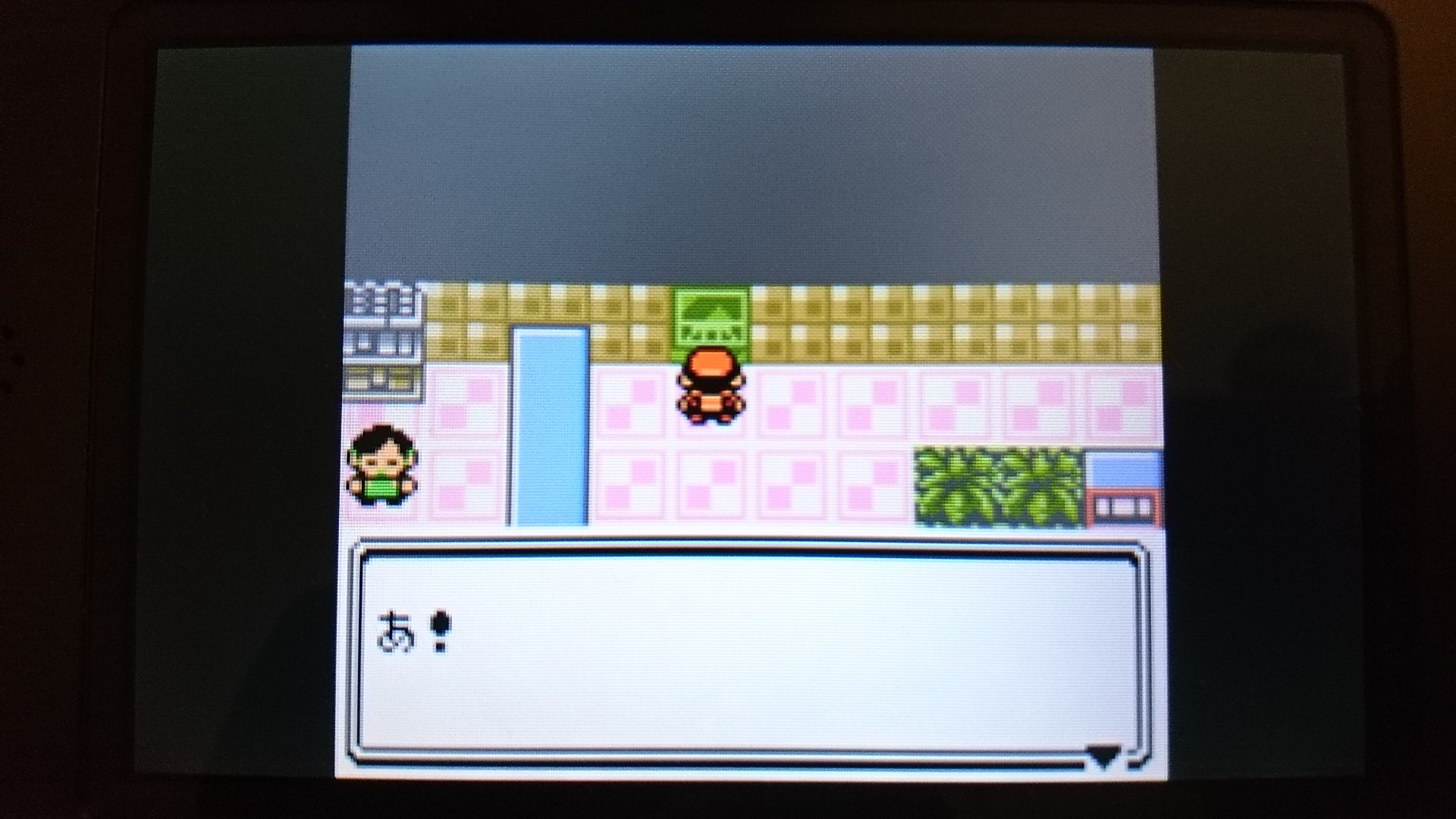 タマムシシティ スロット 金銀