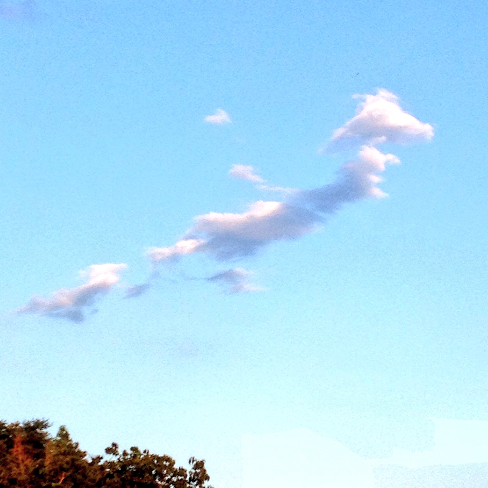 しゅう 数年前 ガラケーであわてて撮った日本地図のような雲 フォッサマグナあり 二度と撮れない写真を貼れ 珍しい雲 T Co 3agcvcikjr Twitter