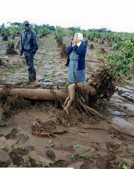 solo_ambuku's tweet photo. @MuthuraMuhuhe @ODP_kenya @TheStarKenya That too. #TanoTerror unleashed by the #JubileeMegalomaniacs mimics #BetrayalInTheCity by Francis Imbuga, so does #SolaiDamTragedy at #PatelDam . #Solai victims are indeed #GodsBitsOfWood. Kenyans demand compensation for victims and appropriate sanction on culprits. #KenyanGuptas https://t.co/6vXC9F9Rkq