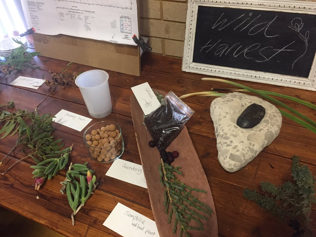 teganknowlesy's tweet photo. Tim Gilbertson  impresses us at the #CoastcareForum2018 with his extensive knowledge of all the #WildHarvest from within the #NorthernAgriculturalRegion. We also learnt the importance of Nitraria billardierei as not only habitat for local fauna but as a food source for them also! https://t.co/xqWP9skyGU