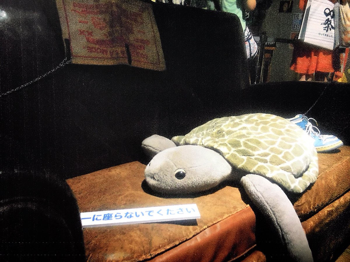 2025年最新】渋谷すばる 亀の人気アイテム - メルカリ 渋谷すばるNEED