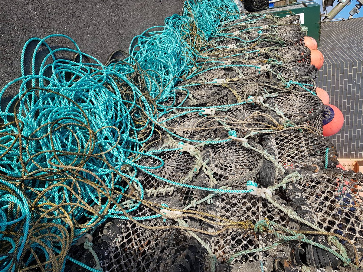 Sorry not to be <a href="/tavistock/">Tavistock, Devon, UK</a> farmer's market today. No fish today. Ten tors calls