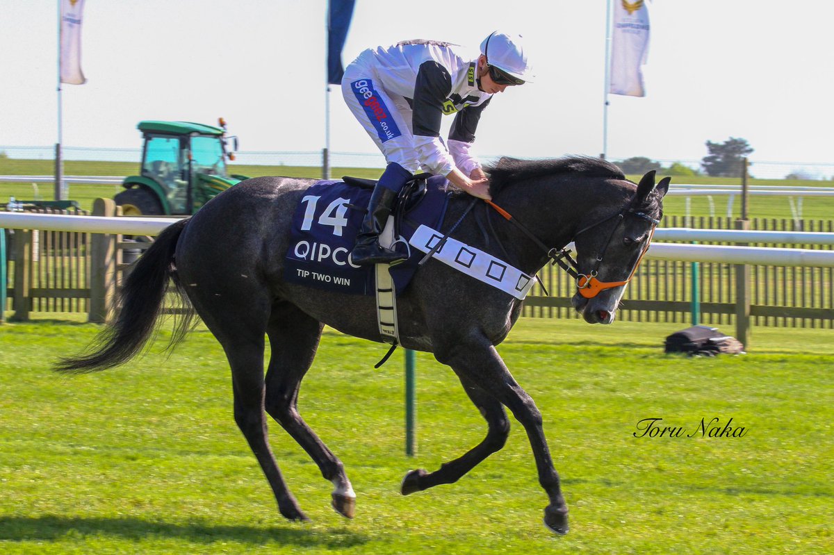tooru_naka's tweet photo. 2018.05.05 #2000Guineas
2nd #TipTwoWin
ๅๅ51ๅใฎไบบๆฐ่ใชใใใ#ใตใฏใฝใณใฆใฉใชใขใผ ใฎ2็ใจๅคงๅฅ้ใฎTip Two Winใ
ๅฌๅ ดใฏใซใฟใผใซใง่ตฐใใใขใซใใใผใใคใซ(GII)ใๅถใใ็ฐ่ฒใฎ็ตๆญดใฎๆใกไธปใ
#ใ๏ฟฝ๏ฟฝใผใใผใฑใใ @NewmarketRace https://t.co/dTEDitfNca