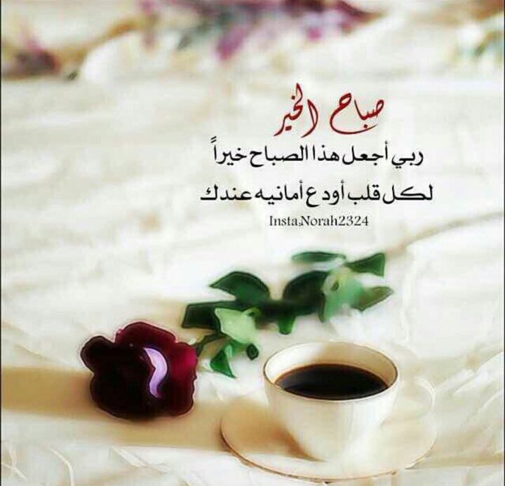 #قروب_ماسة_عُمان