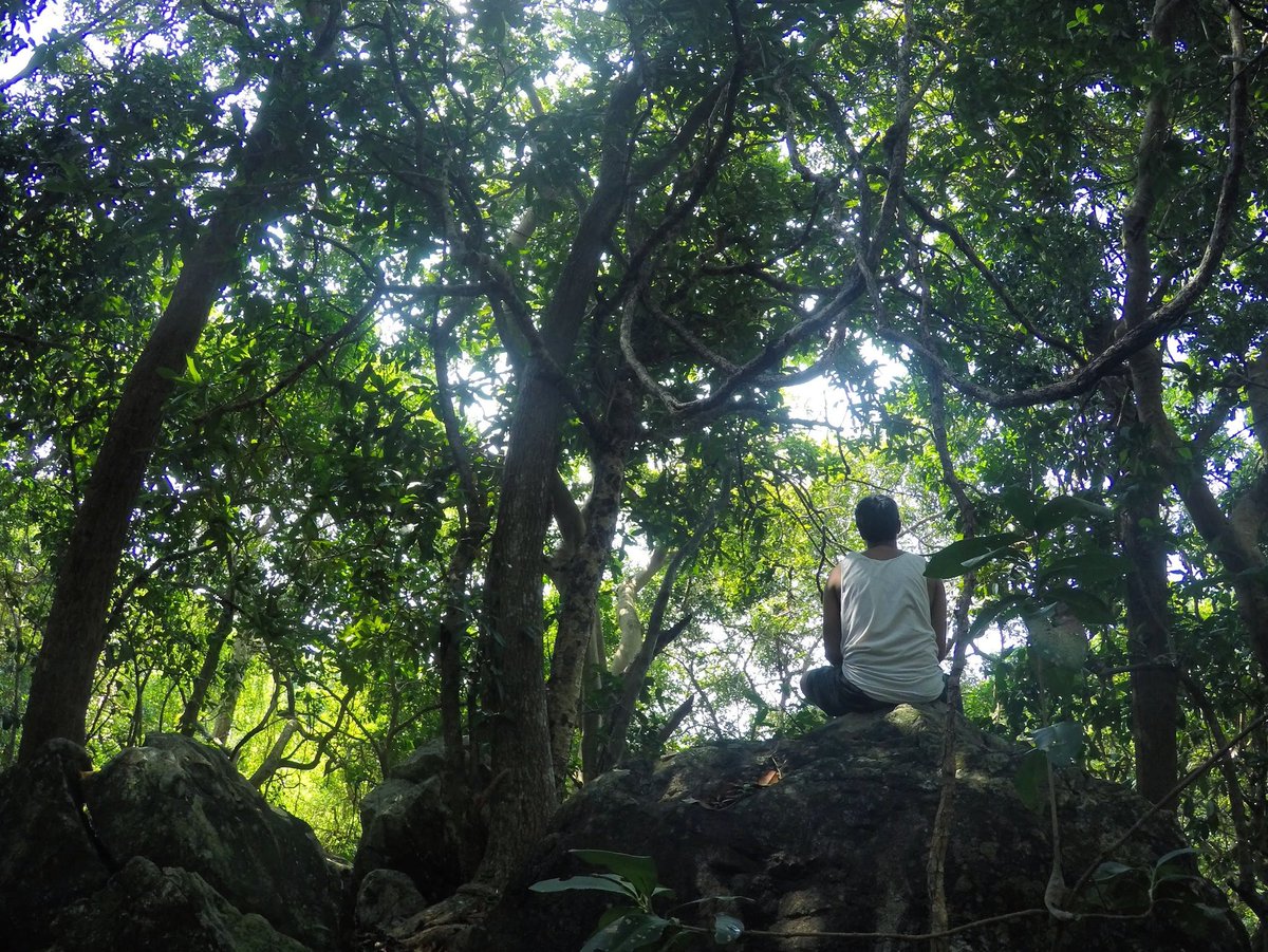 The untouched wild of Coastal Karnataka. 
5 days to go. DM if you want to join.