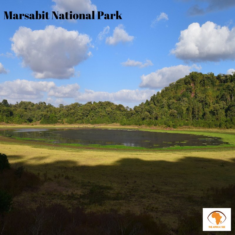 MitiAlliance's tweet photo. We have a beautiful country but we often forget. Its important for us to care for the environment around us. This is Marsabit County. #PandaMiti #PandaMitiPendaKenya #treesforbetterlives #KeepKenyaBreathing #BringBackOurGreen #CutTheTalk #PlantATree #Africa #TembeaKenya https://t.co/bxNNWFORTl