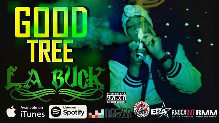 iamLABuck's tweet photo. Check Out My New Single “Good Weed” https://t.co/qa8lSdl5Tq