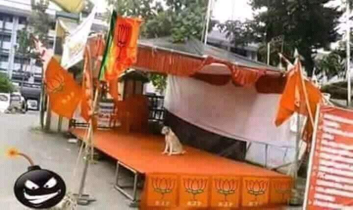 armaani_ali's tweet photo. @kajal_jaihind  https://t.co/YzCE7mHuvJ