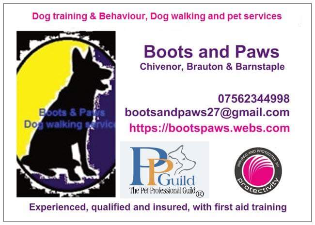 Sarah (@bootsandpaws27) on Twitter photo 