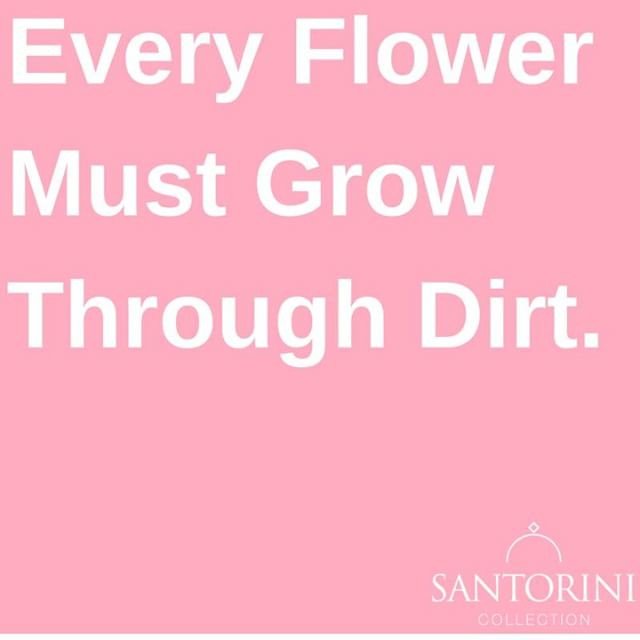 MALINKAANDREEVA's tweet photo. Reposting @santorinicollection:
๐๐น๐บ๐ป๐ผ #SANTORINICOLLECTION #QuoteoftheDay #May #Santorini #Greece
#jewelry #trending #style #fashion #blog #fashionblogger #blogger
#beautiful #musthave #lfl #fff #shoponline #featured #quotes #quotesofig
#inspiration #positivity #wednesday https://t.co/ValPS13rOP