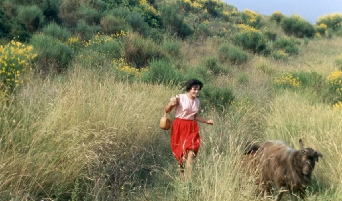 How Pierre-Auguste Renoir’s Paintings Inspired His Son’s Famous Films buff.ly/2jTrojr